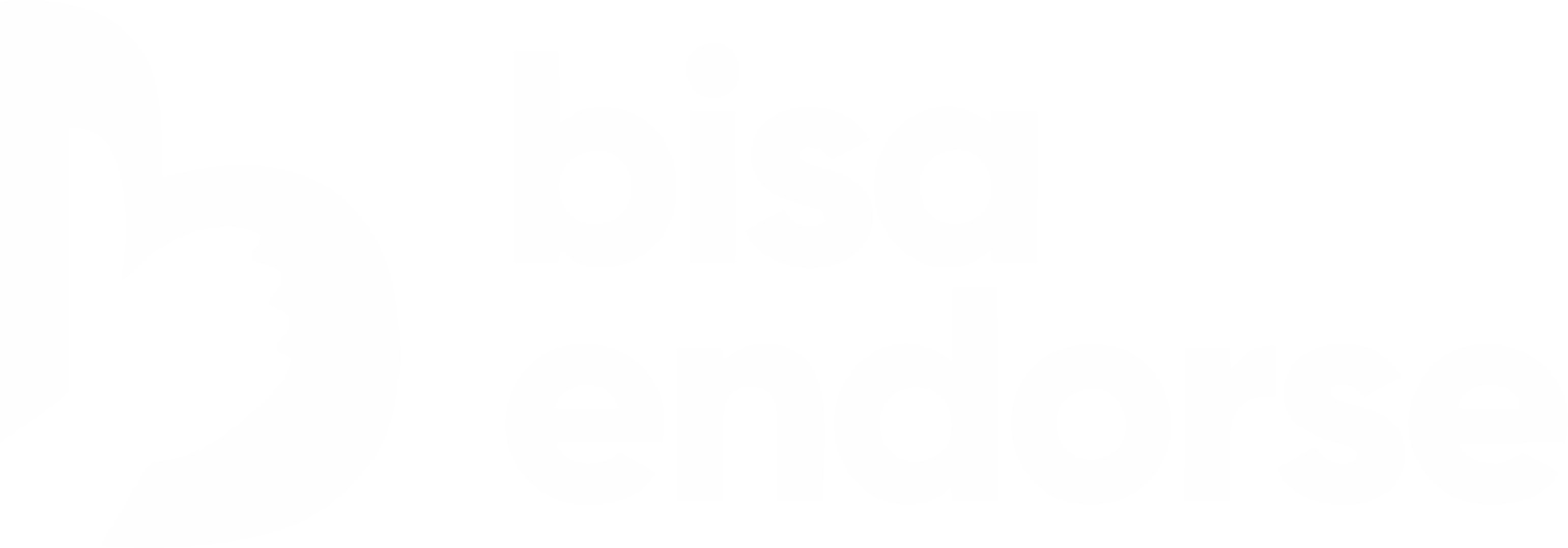 bisaendorse.com